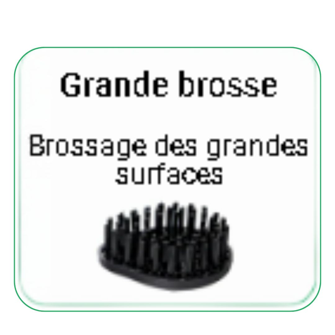 Grande brosse