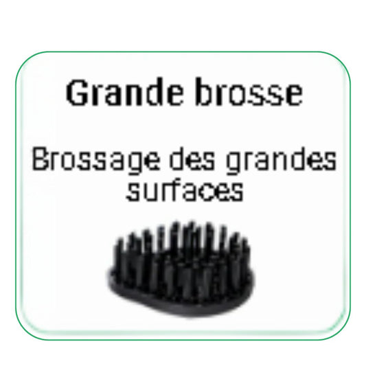 Grande brosse