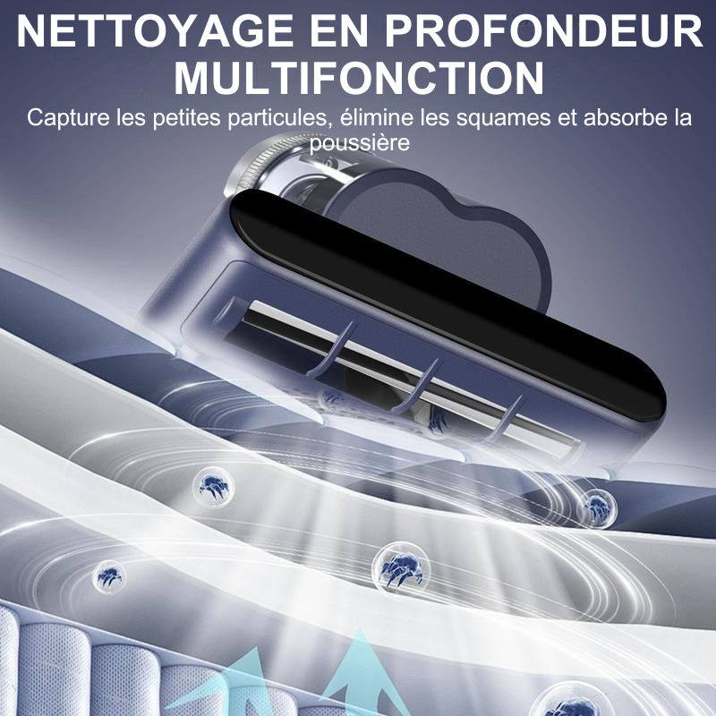 AcarClean Pro