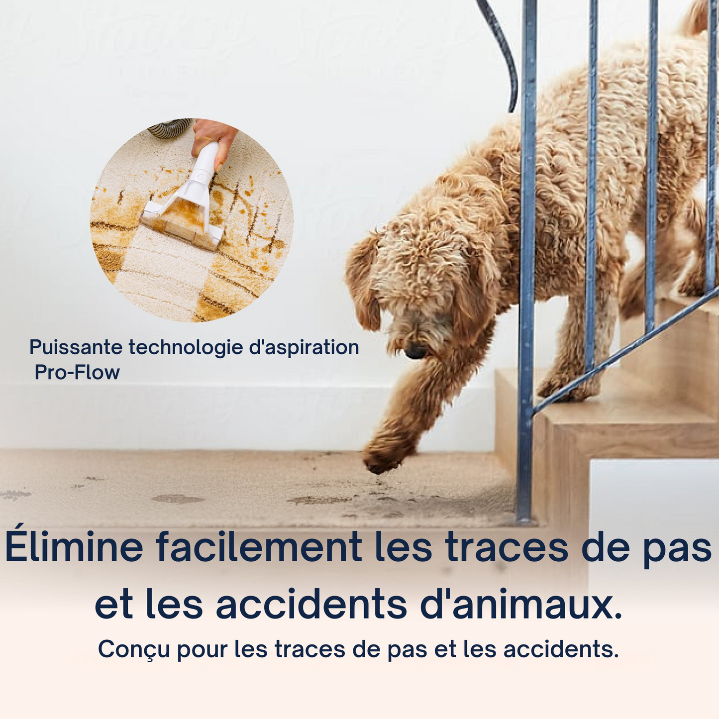RedSteam ProClean – Injecteur-Extracteur Textile Haute Performance